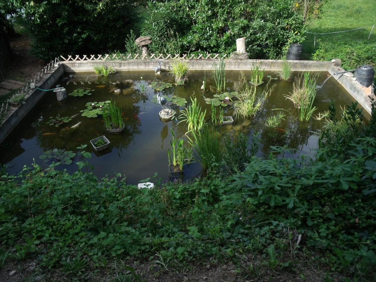 Domaine De La Provenc'Ane Villa Salernes Luaran gambar